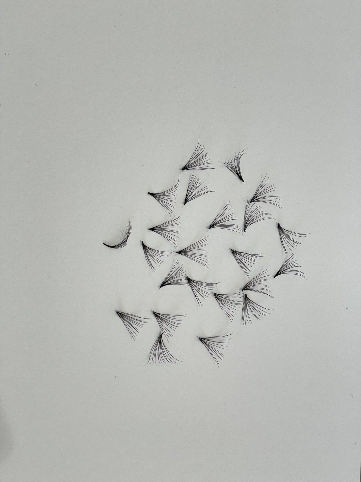 NEW Mega Volume Lash 10D -14D