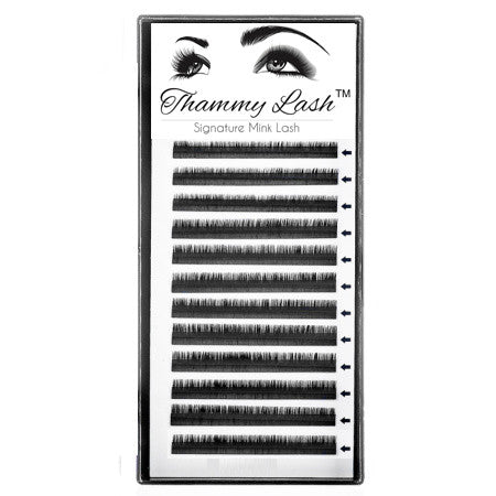 Easy Fans Trays D Curl Eyelash Extensions