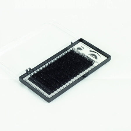 Flat Lash DD Curl Eyelash Extension