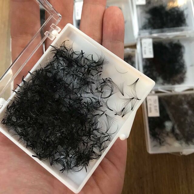 Pre Made Lash 1000 Fans D CURL