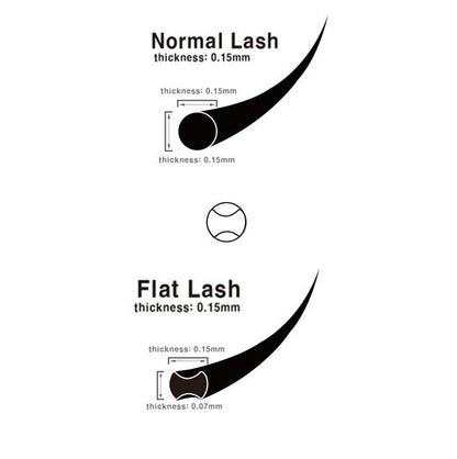 Flat Lash D Curl Eyelash Extension